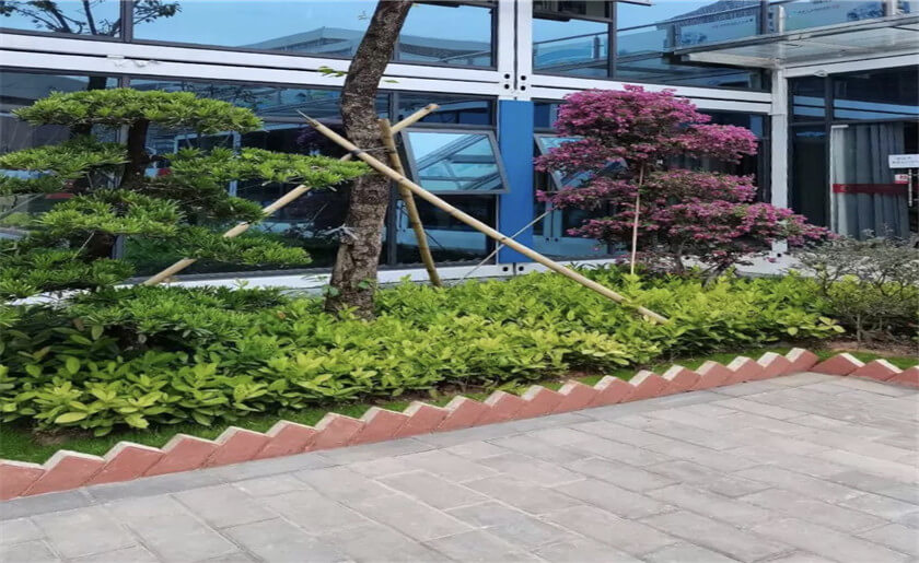 哈爾濱工業大學（深圳）