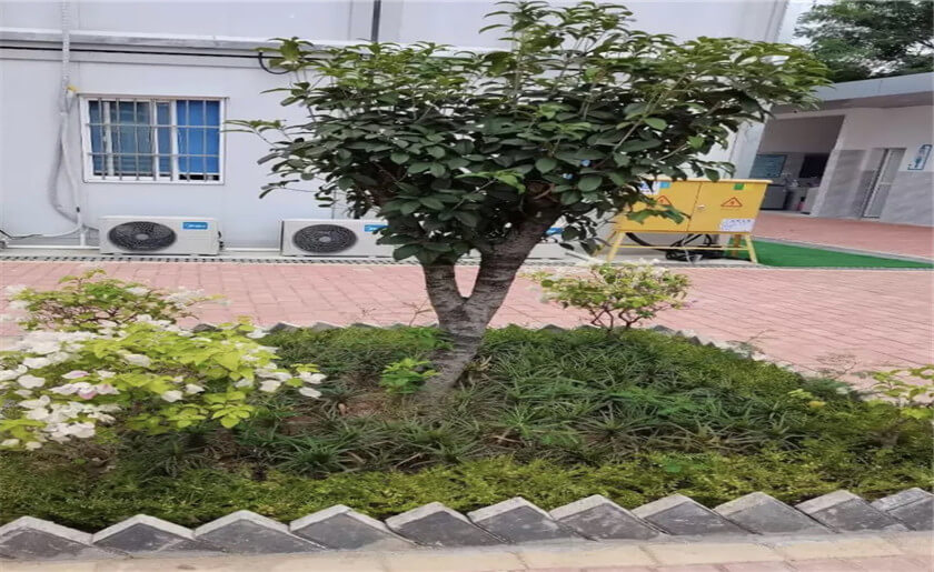 哈爾濱工業大學（深圳）